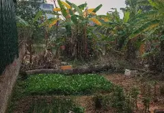 Đất Vàng Nhà Máy Z117 Vị Trí Đắc Địa, Giá Tốt... Bán đất tại Sóc Sơn, Hà Nội 04