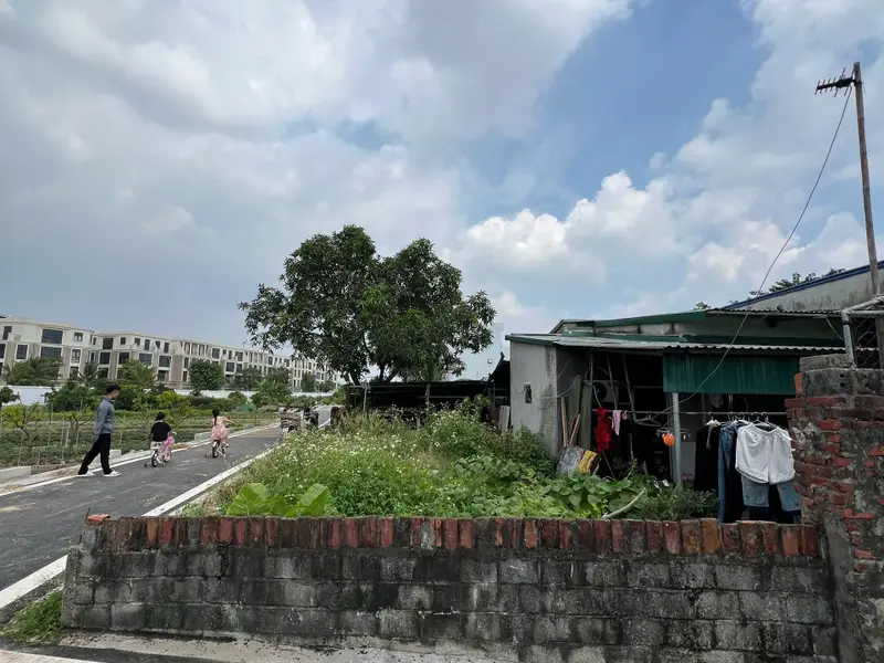 🔥 LÔ GÓC HÀNG XÓM VINHOMES – 74M² MẶT TIỀN 5M – ĐẤT NGHĨA TRỤ- GIÁ NHỈNH 3 TỶ🔥... Bán đất tại Nghĩa Trụ, Hưng Yên 01