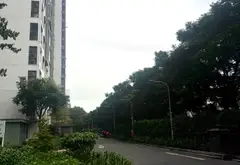 Căn hộ tầng trệt Emerald Celadon, Tân Sơn Nhì, đón gió xanh mát... Bán căn hộ chung cư tại Tân Sơn Nhì, Hồ Chí Minh 02