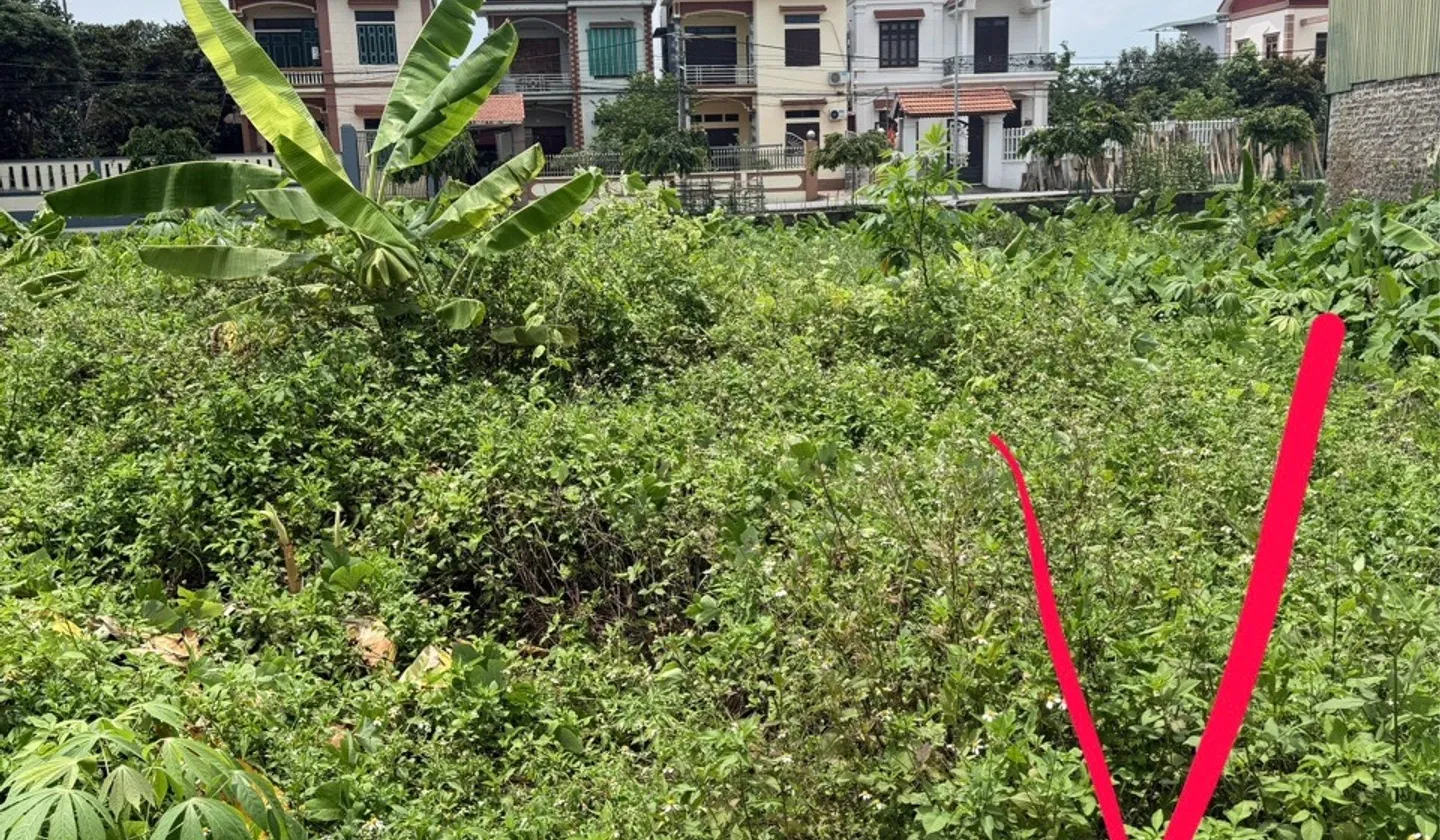 Mảnh đất vàng cho nhà đầu tư tại Ninh Xá, Bắc Ninh... Bán đất tại Ninh Xá, Bắc Ninh 01
