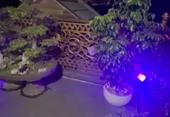 Siêu phẩm nhà 5 tầng mặt tiền rộng tại Hồ Văn Huê... Bán nhà riêng tại Đức Nhuận, Hồ Chí Minh 06
