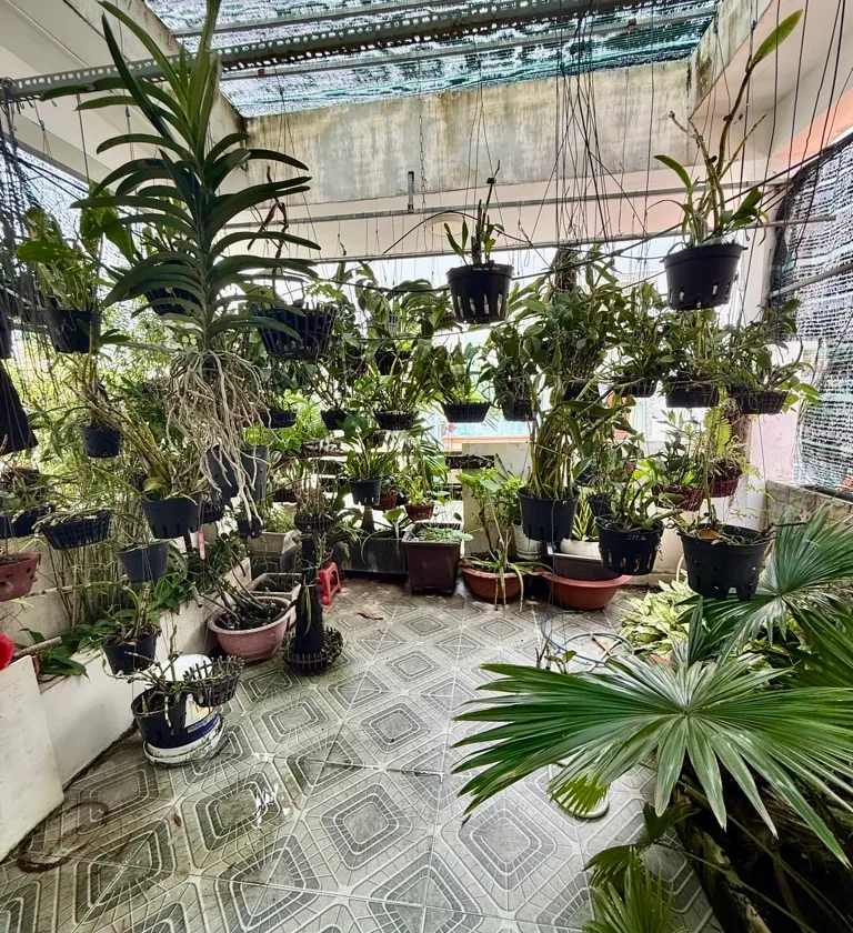 Nhà mặt phố 4 tầng diện tích 69.3m² tại quận 6 giá 11.9 tỷ... Bán nhà mặt phố tại Bình Phú, Hồ Chí Minh 01