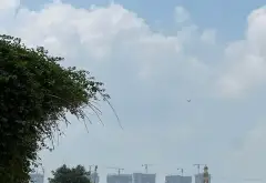 Đất Đẹp Sát Sườn Thông Thẳng Sang Vin,Cách Vin 2,3 100m-200m2- MT 9.5m -Ngõ 3 Ô Tô Tránh- Nhỉnh 15... Bán đất tại Văn Giang, Hưng Yên 05