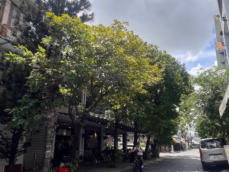 Nhà góc 2 mặt tiền Tân Sơn Nhì, giá tốt còn thương lượng... Bán nhà mặt phố tại Tân Sơn Nhì, Hồ Chí Minh 01