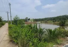 Bán đất 3380m2 mặt tiền 38m tại An Thới Đông Cần Giờ, giá 5.3 tỷ... Bán đất tại An Thới Đông, Hồ Chí Minh 04