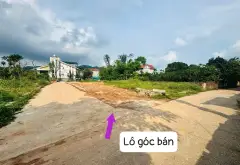 Cơ hội sở hữu đất lô góc diện tích lớn tại vị trí đắt giá... Bán đất tại Kim Anh, Hà Nội 01