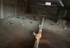 Bán nhà mặt phố 90m2 tại Phù Khê kinh doanh sầm uất... Bán nhà mặt phố tại Chi Lăng, Bắc Ninh 08