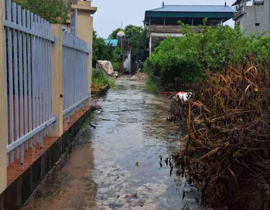 Lô đất góc view hồ xanh mát tại Văn Giang Hưng Yên... Bán đất tại Văn Giang, Hưng Yên 01