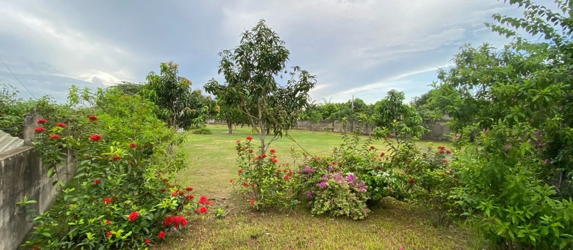 Bán đất mặt tiền đường rộng, view sông tại Long Phước, Quận 9... Bán đất tại Long Phước, Hồ Chí Minh 01