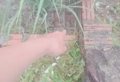 Lô Đất Vuông Vắn Tại Xã Tiên Dược, Sóc Sơn - Không Gian Sống Tinh Tế Và Riêng Tư... Bán đất tại Sóc Sơn, Hà Nội 05