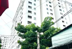 Bán nhà quận 12, Phan Văn Hớn, hẻm xe tải, dân cư đông đúc, nhà cấp 4 DTSD 161m2 chỉ 9.X tỷ... Bán nhà riêng tại Đông Hưng Thuận, Hồ Chí Minh 01