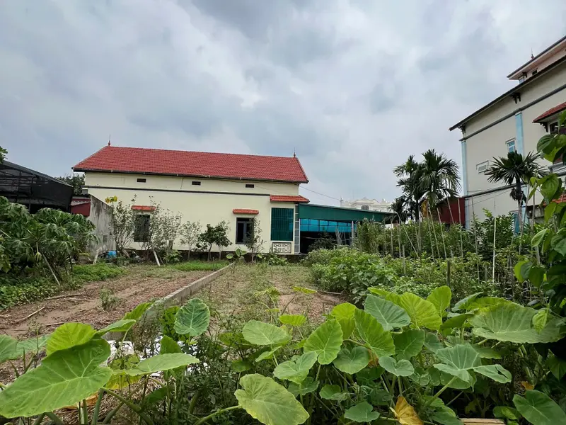 🔥 LÔ GÓC MỄ SỞ – 113M² – MT 6M – NHỈNH 3 TỶ 🔥

📐 Lô góc 2 mặt thoáng, ô tô vào tận đất... Bán đất tại Mễ Sở, Hưng Yên 01