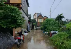 Bán đất thôn Đầu, xã Phụng Công, Văn Giang, Hưng Yên - mặt tiền 6m, đường ô tô 5m... Bán đất tại Phụng Công, Hưng Yên 02