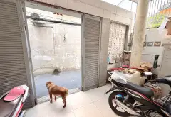 🏡 GIẢM MẠNH 400 TRIỆU – NHÀ MẶT TIỀN 5M, Ô TÔ VÀO TẬN NHÀ – CHỈ 7 TỶ... Bán nhà riêng tại An Hội Đông, Hồ Chí Minh 09