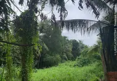 Cơ hội hiếm có sở hữu 1200m đất Thới An giá chỉ 5.7 tỷ... Bán đất tại Thới An, Hồ Chí Minh 03