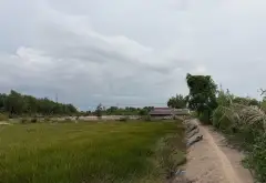 Bán đất khuôn viên lớn xã Bình Khánh, Cần Giờ, diện tích 17.436m2, giá 139 tỷ đồng... Bán đất tại Bình Chánh, Hồ Chí Minh 08