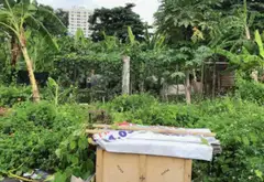 Bán đất mặt tiền 9.6m tại An Dương Vương - diện tích 67m2, pháp lý cơ sở... Bán đất tại Phú Định, Hồ Chí Minh 07