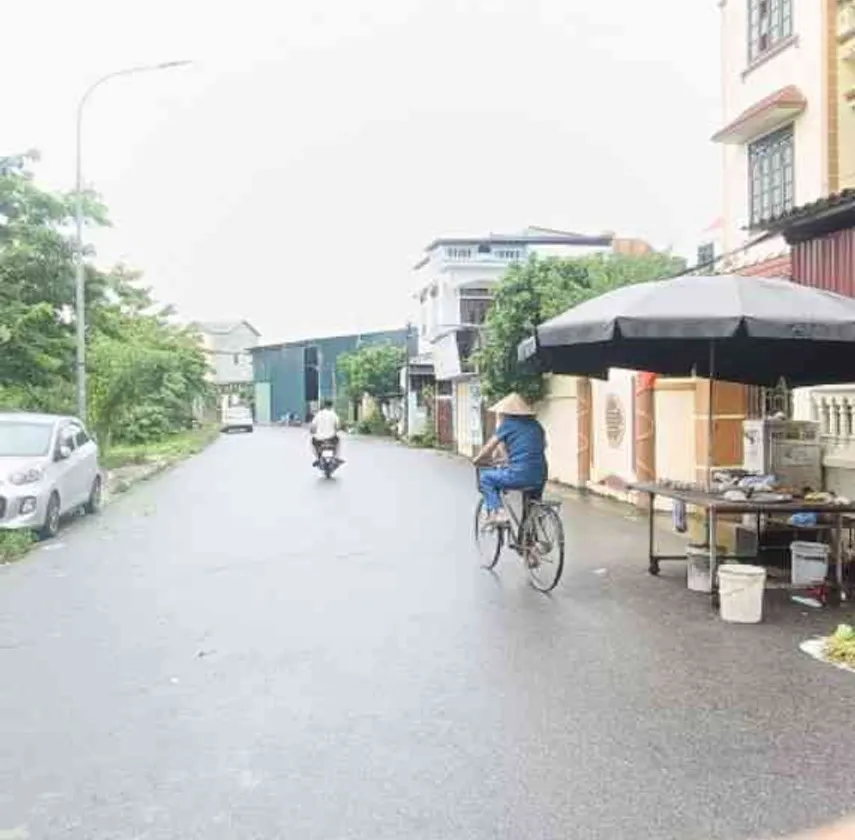 Đất Vàng Trà Lâm: Vị Trí Đẹp, Ô Tô Tránh Thoải Mái... Bán đất tại Song Liễu, Bắc Ninh 01