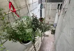 Nhà 2 Tầng Hồ Bá Kiện - Vị Trí Vàng, Sống Trọn Yên Bình... Bán nhà riêng tại Hòa Hưng, Hồ Chí Minh 08