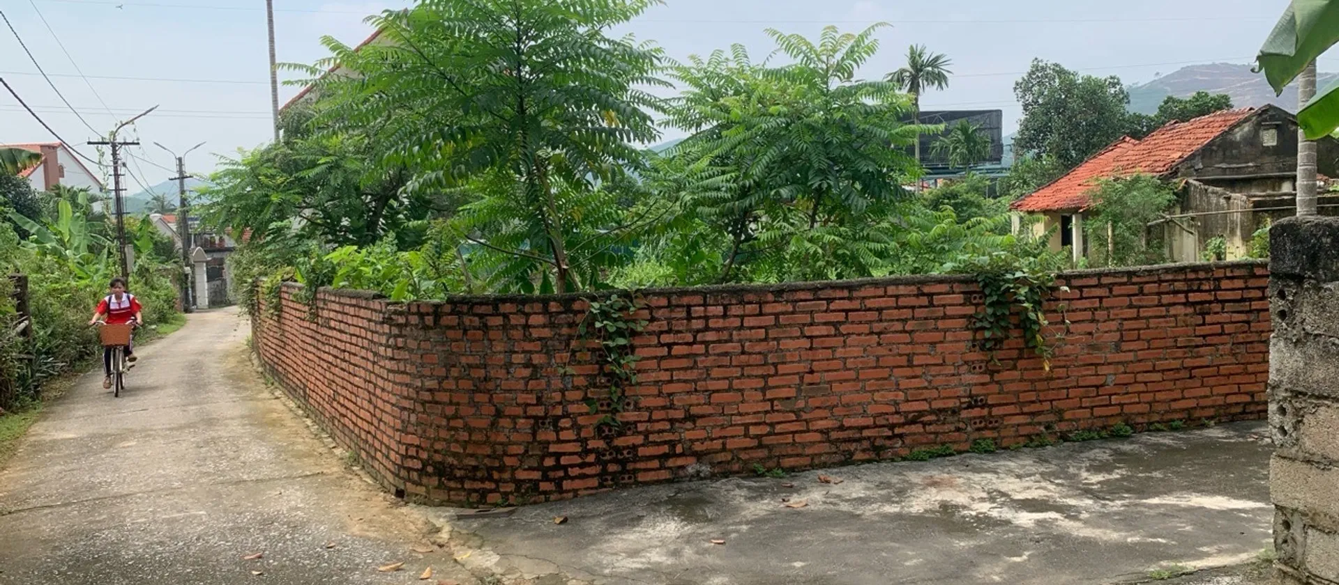 Bán đất ô góc 254,9m² tại xã Việt Hưng, pháp lý rõ ràng, giá 2,55 tỷ... Bán đất tại Việt Hưng, Quảng Ninh 01