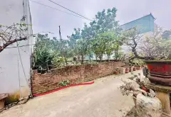 Lô đất nhỏ xinh, ô tô đỗ ngay cửa, giá cực hấp dẫn... Bán đất tại Văn Giang, Hưng Yên 11