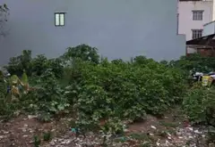 Bán đất mặt tiền 8m khu dân cư Tân Hoà Đông đối diện UBND phường Bình Trị Đông... Bán đất tại Bình Trị Đông, Hồ Chí Minh 02