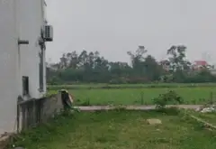Sở hữu đất vàng Đông Lại, không gian mở đáng mơ ước... Bán đất tại Sóc Sơn, Hà Nội 01