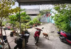 Bán nhà mặt phố Bình Long 278,8 m2 tại khu vực phát triển, giá cạnh tranh... Bán nhà mặt phố tại Phú Thạnh, Hồ Chí Minh 06