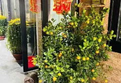Bán nhà riêng 36.7m² 2 phòng ngủ tại khu vực Hồ Văn Huê, Phú Nhuận... Bán nhà riêng tại Đức Nhuận, Hồ Chí Minh 01