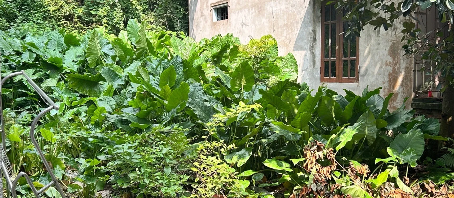 Bán đất rộng 243m² tại xã Hoàn Sơn, Đại Đồng, Bắc Ninh, mặt tiền 6m, ngõ ô tô nhỏ vào tận đất... Bán đất tại Đại Đồng, Bắc Ninh 01