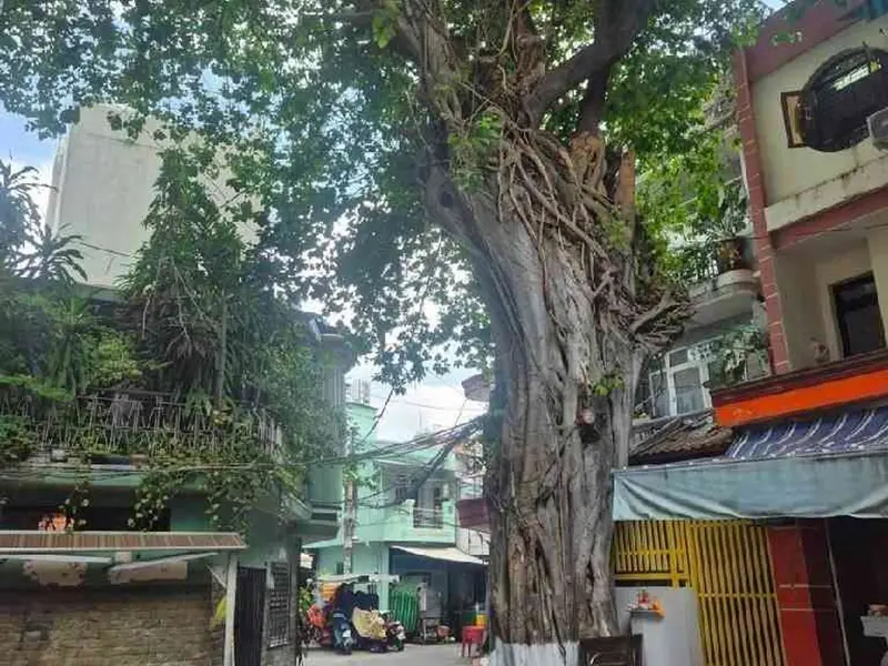 Nhà Đẹp Hẻm Xe Hơi Lê Quang Định - Sống Chuẩn Sang... Bán nhà riêng tại Gia Định, Hồ Chí Minh 01