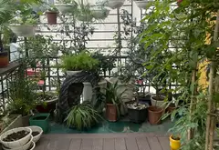 Nhà mặt phố Bà Triệu - Kinh doanh thỏa thích, nội thất sang xịn... Bán nhà mặt phố tại Hà Đông, Hà Nội 14