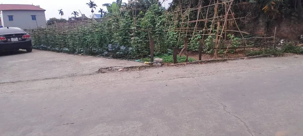Đất nhỏ tiền đồi cạnh trường đua ngựa, cơ hội hiếm có... Bán đất tại Sóc Sơn, Hà Nội 01