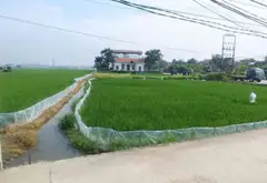 Cơ hội hiếm có sở hữu đất thổ cư đẹp tại Nghi Khúc, giá trị tăng vọt... Bán đất tại Mão Điền, Bắc Ninh 03
