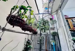 Nhà góc 2 mặt thoáng Quận 10, hẻm xe hơi rộng... Bán nhà riêng tại Diên Hồng, Hồ Chí Minh 06