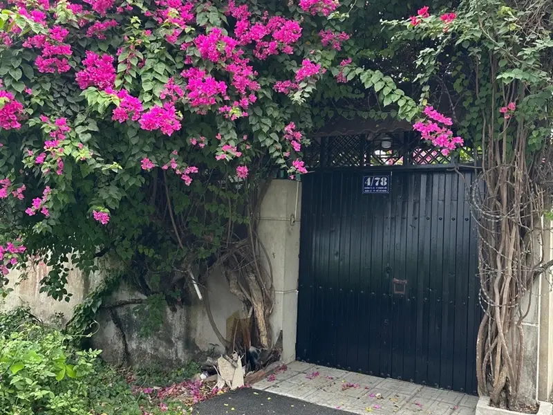 ĐẤT TL41– HÀ HUY GIÁP THẠNH LỘC Q12 – 96M² – NGANG 6M – HXH THÔNG 💸 giá 5 TỶ... Bán đất tại An Phú Đông, Hồ Chí Minh 01