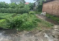 Đất Lô Góc Thoáng Mát Giá Hợp Lý Tại Khu Dân Cư Sầm Uất... Bán đất tại Sóc Sơn, Hà Nội 01