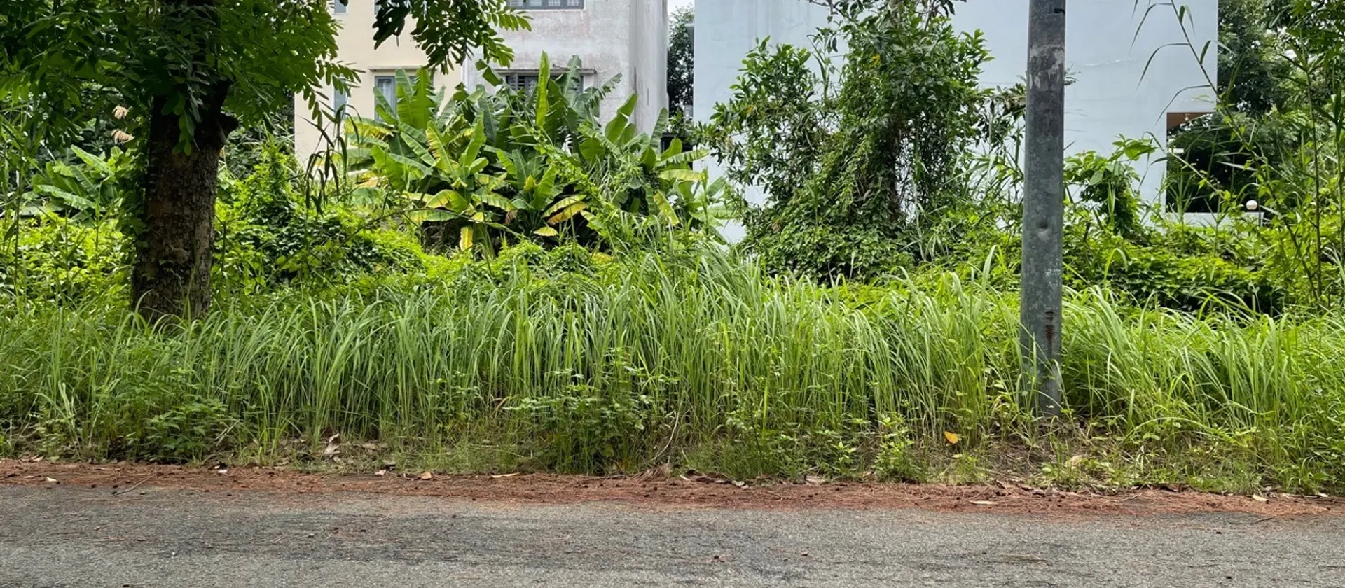 Bán đất 95.4m2 tại Phong Phú, Bình Chánh 0948769331... Bán đất tại Bình Hưng, Hồ Chí Minh 01