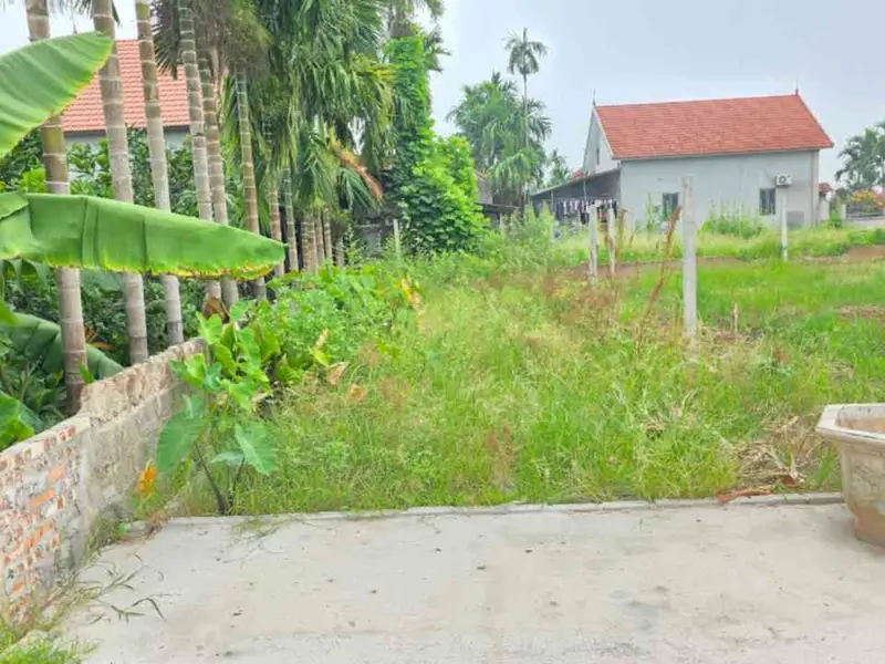 CƠ HỘI VÀNG: ĐẤT VUÔNG VẮN – GIÁ TỐT HƠN THỊ TRƯỜNG 250 TRIỆU... Bán đất tại Triệu Việt Vương, Hưng Yên 01