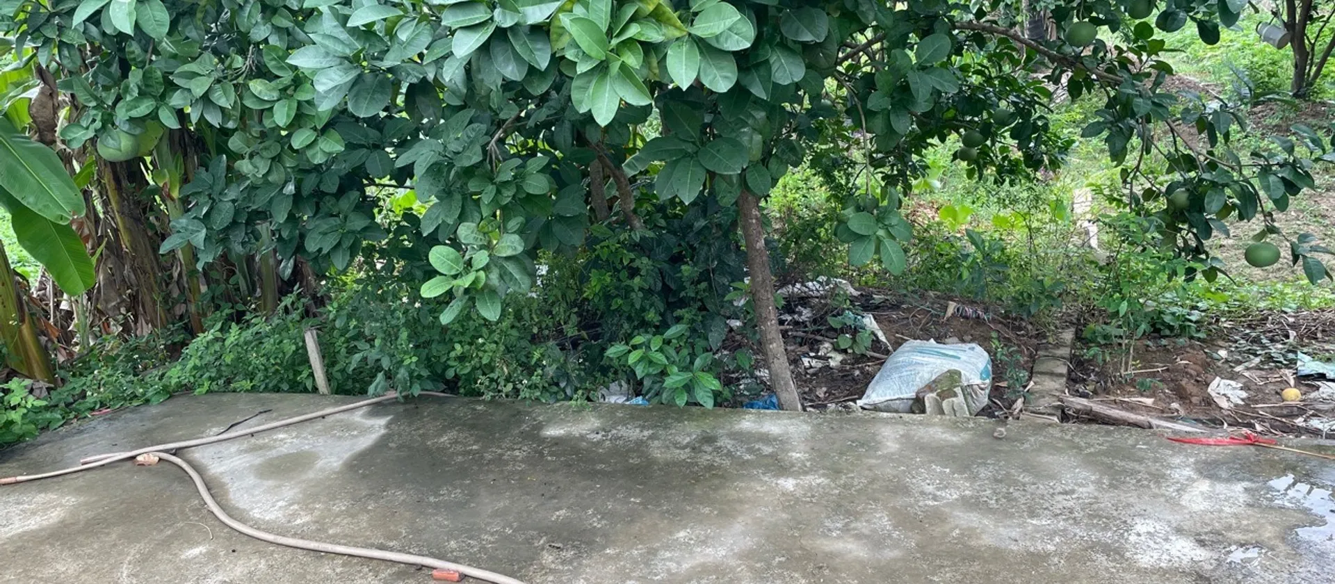 Bán đất thôn Hầu, Lâm Động, Thủy Nguyên, diện tích 58m², hướng Nam, pháp lý cơ sở... Bán đất tại Thiên Hương, Hải Phòng 01