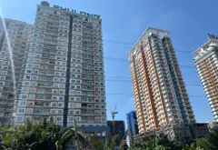 Bán đất nền diện tích lớn tại Nguyễn Hữu Thọ, Nhà Bè, gần Lotte Q7... Bán partner tại Nhà Bè, Hồ Chí Minh 02