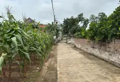 Đất đẹp giá êm tại Hạnh Lâm Mai Động Kim Động nay là Đức Hợp Hưng Yên... Bán đất tại Đức Hợp, Hưng Yên 05