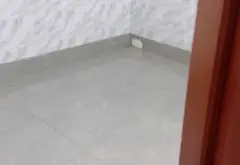 Cơ hội sở hữu nhà hẻm xe tải Nguyễn Thị Kiểu, sân ô tô rộng, giá tốt... Bán nhà riêng tại Tân Thới Hiệp, Hồ Chí Minh 10