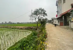 Đất Vuông Vắn Quang Tiến Sóc Sơn - Vị Trí Vàng Cho Nhà Đầu Tư... Bán đất tại Sóc Sơn, Hà Nội 01