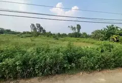 Đất vuông đẹp tại An Thái, An Lão, Hải Phòng, ô tô qua nhà thuận tiện an cư... Bán đất tại An Lão, Hải Phòng 07