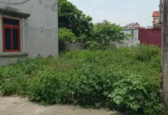 3,55 tỷ sở hữu 50,5m² kiêu kỵ – quy hoạch mặt phố, view công viên... Bán đất tại Gia Lâm, Hà Nội 06