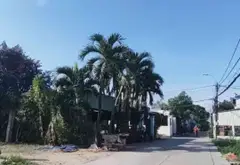 Bán đất thổ cư cao cấp tại Hoàng Phan Thái với diện tích rộng et không gian sống riêng tư... Bán đất tại Bình Chánh, Hồ Chí Minh 06