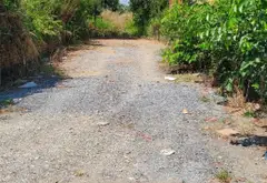 Bán đất 1000m2 tại Bình Lợi giá 2,3 tỷ còn thương lượng... Bán đất tại Bình Lợi, Hồ Chí Minh 01