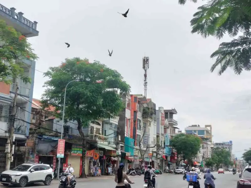 Nhà phố ba tầng riêng tư đẳng cấp tại trung tâm Đà Nẵng... Bán nhà riêng tại Ngô Quyền, Hải Phòng 01