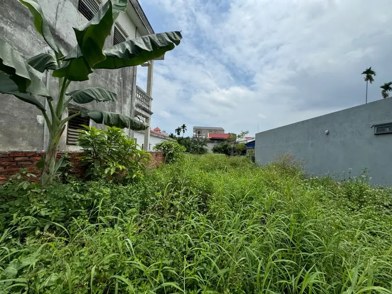 Cơ Hội Vàng Sở Hữu Đất Vị Trí Tuyệt Đỉnh Tại Thiên Hương, Thủy Nguyên... Bán đất tại Thiên Hương, Hải Phòng 01